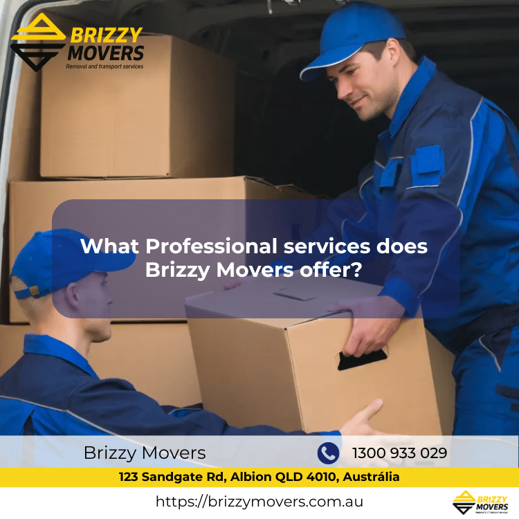 What/Professional/services/does/Brizzy/Movers/offer