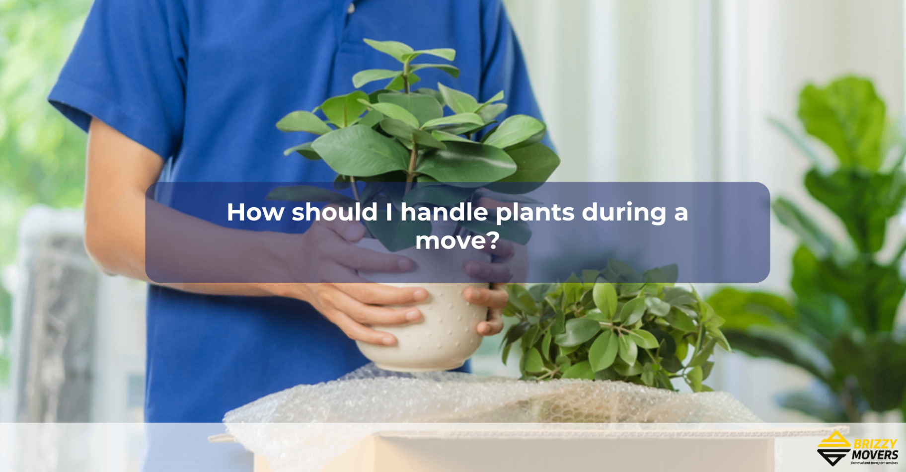 How-should-I-handle-plants-during-a-move?